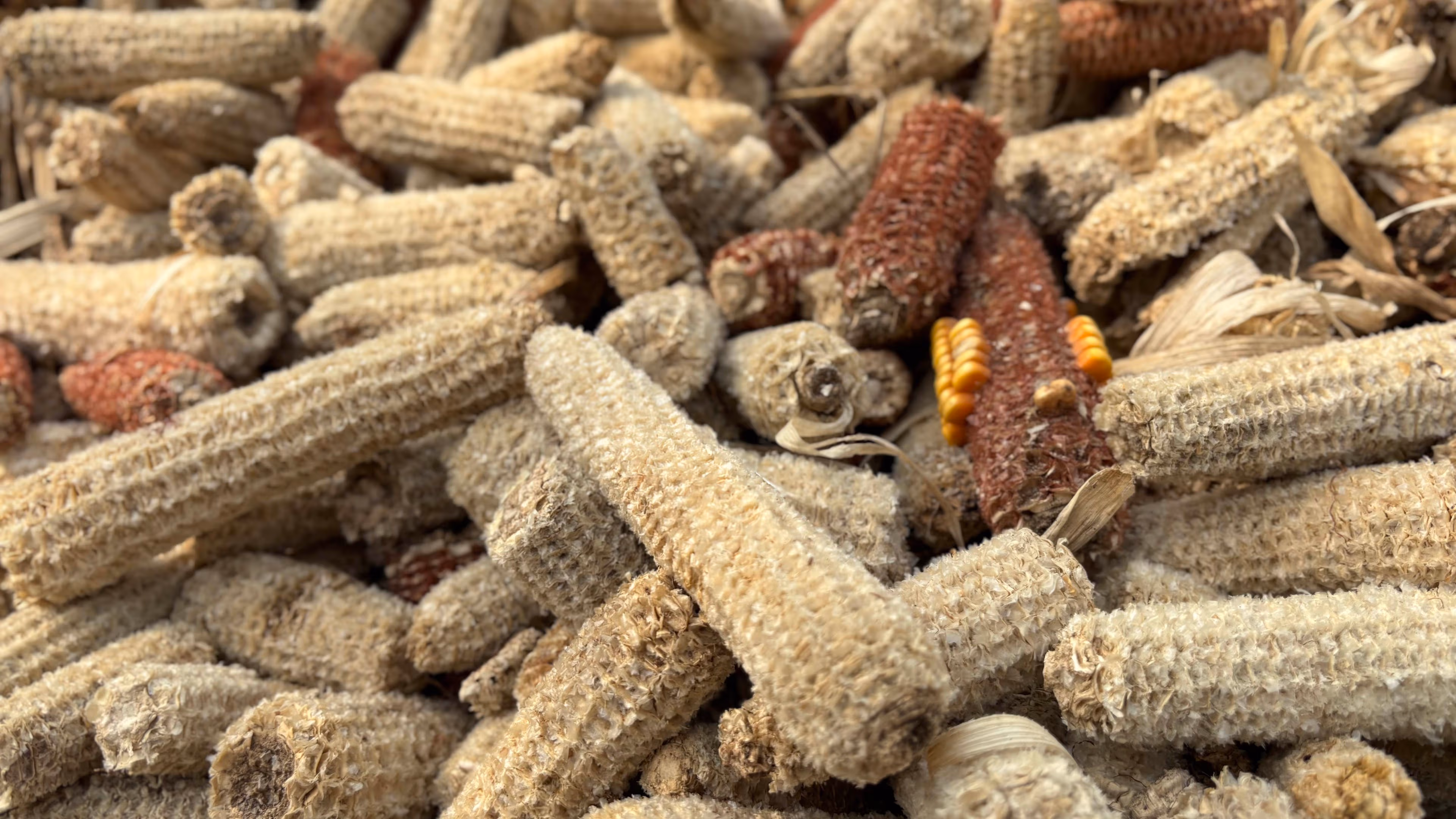 Corn Cob Pellets